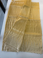 Tissue Organza Saree/ CW367