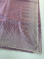 Tissue Organza Saree/ CW367