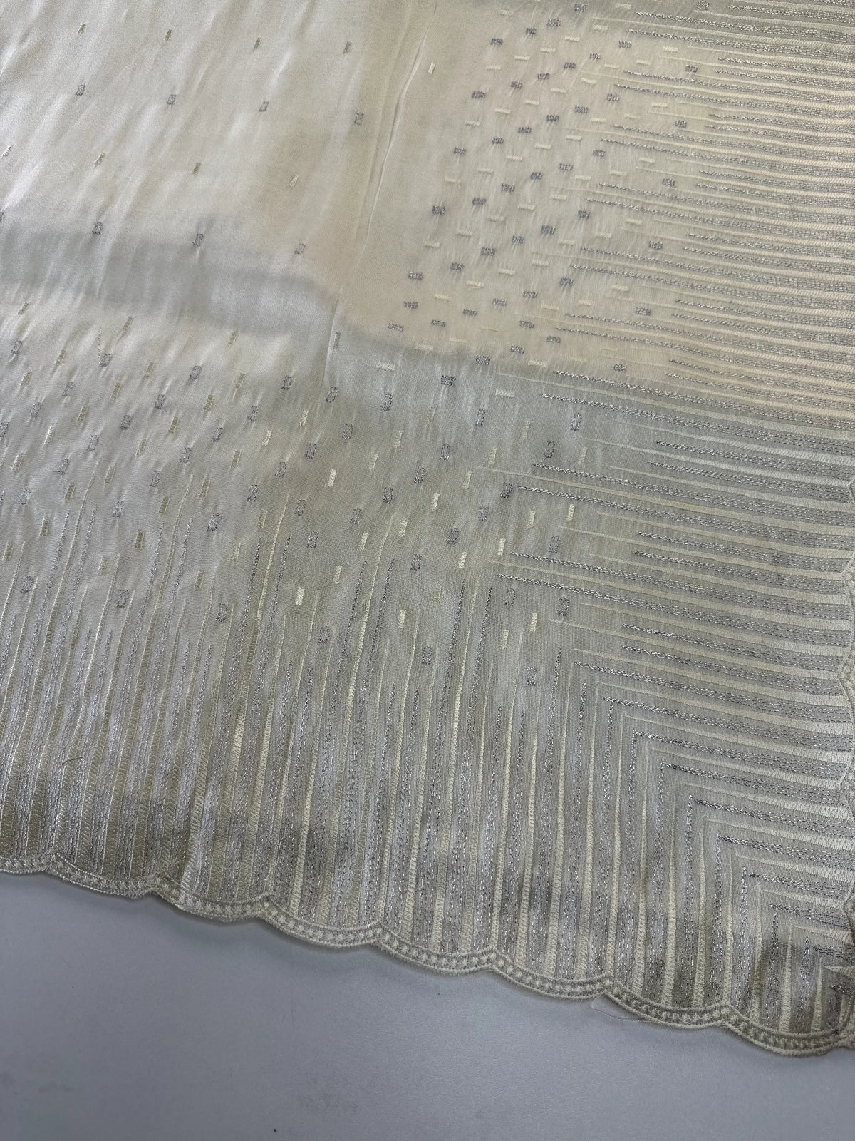 Tissue Organza Saree/ CW367