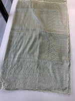 Tissue Organza Saree/ CW367