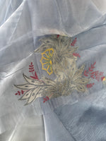 Glass Organza Saree/ 5598