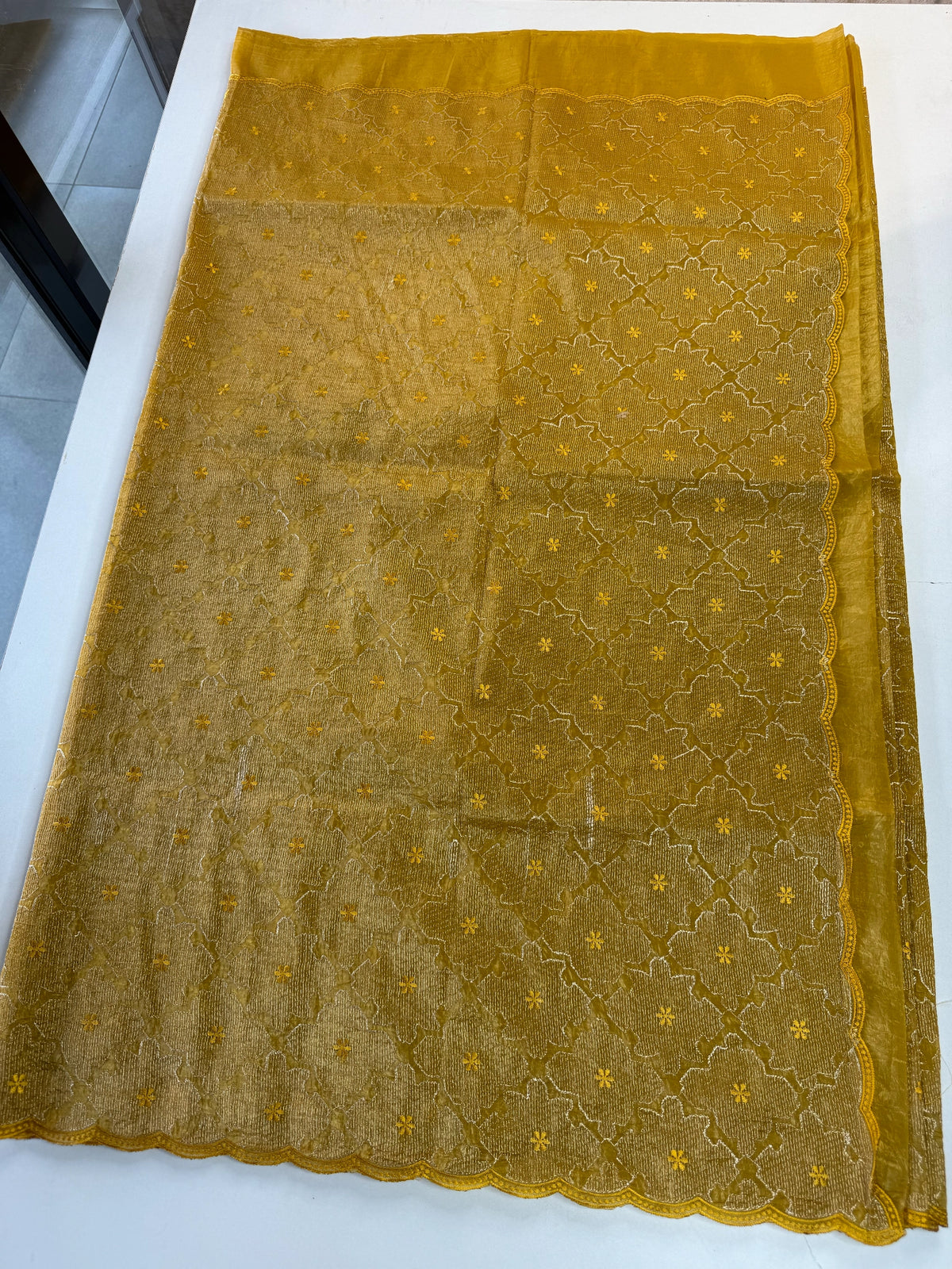 Crushed Organza Saree/ CW3166
