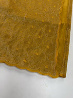 Crushed Organza Saree/ CW3166