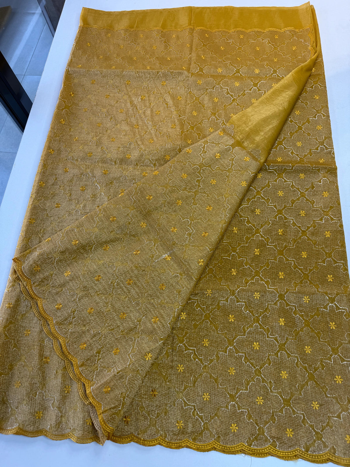 Crushed Organza Saree/ CW3166