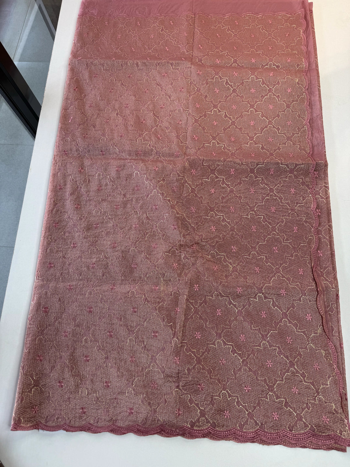 Crushed Organza Saree/ CW3166