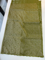 Crushed Organza Saree/ CW3166