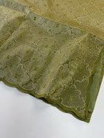 Crushed Organza Saree/ CW3166