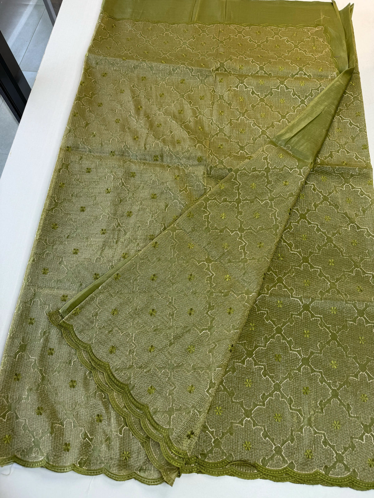 Crushed Organza Saree/ CW3166