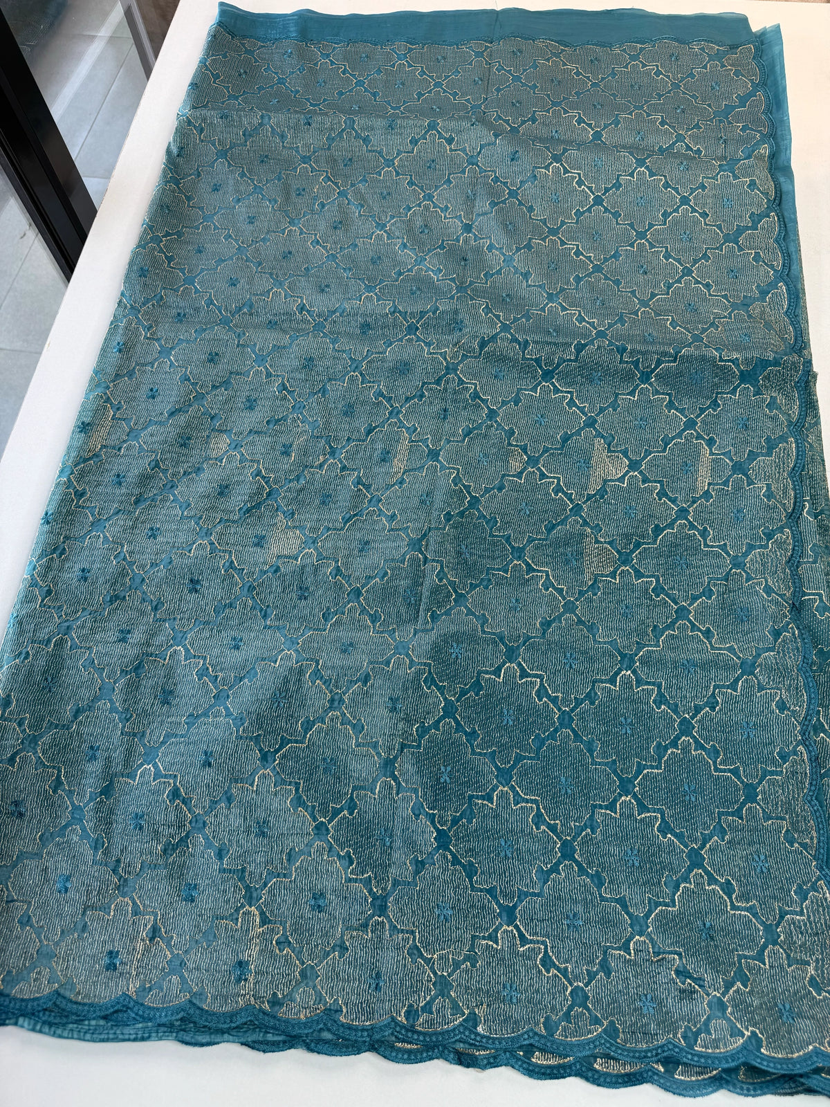 Crushed Organza Saree/ CW3166