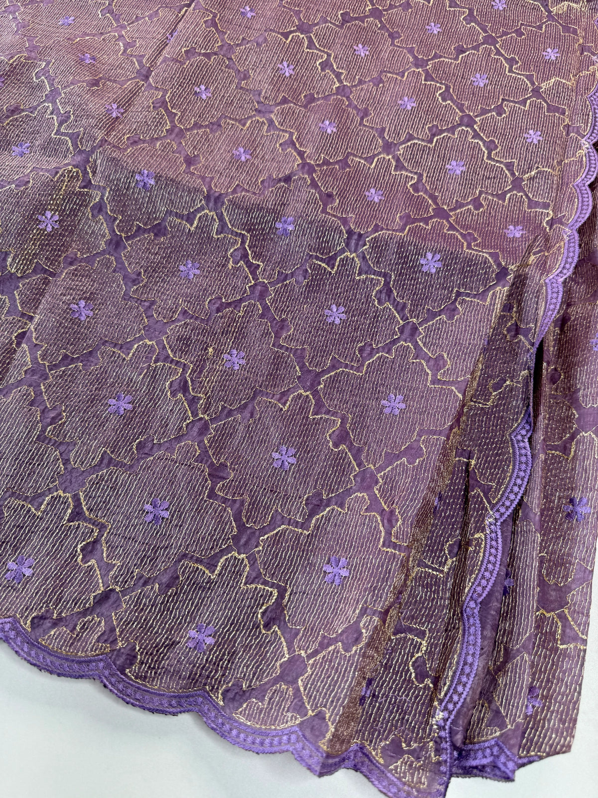 Crushed Organza Saree/ CW3166