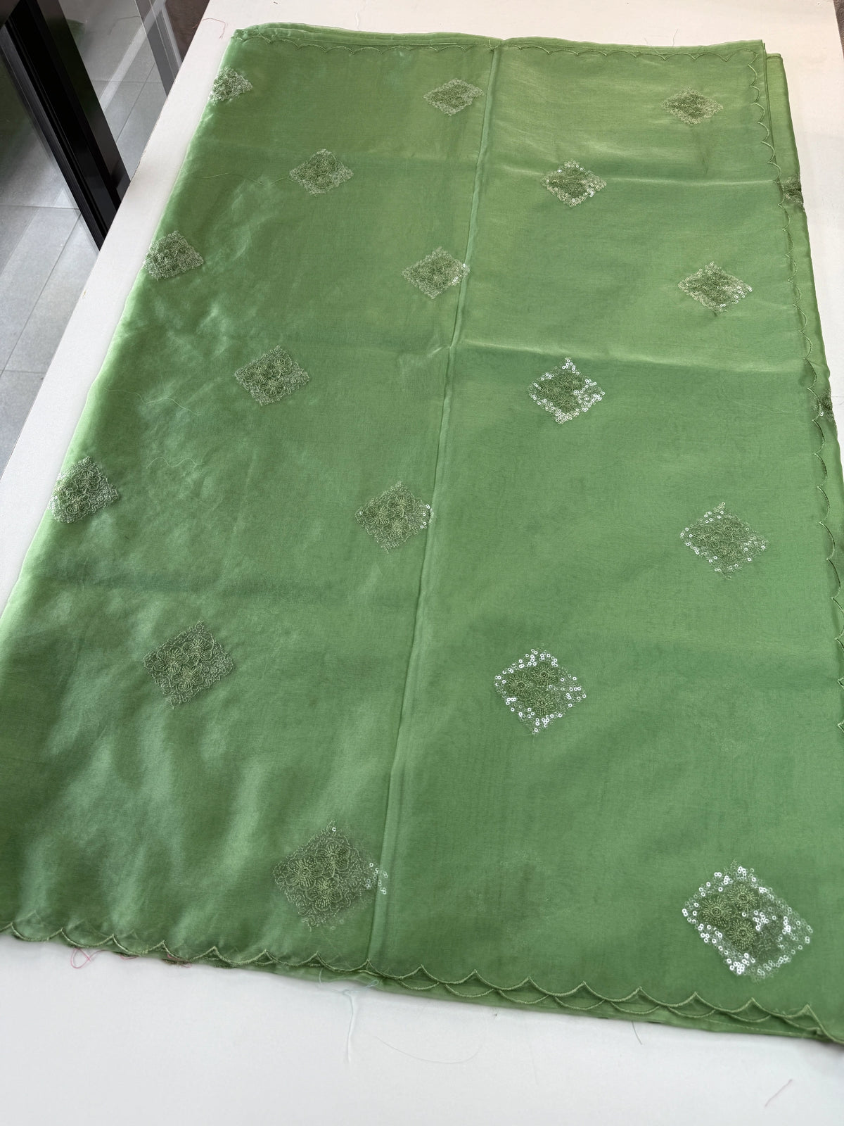 Soft Organza Saree/CW375