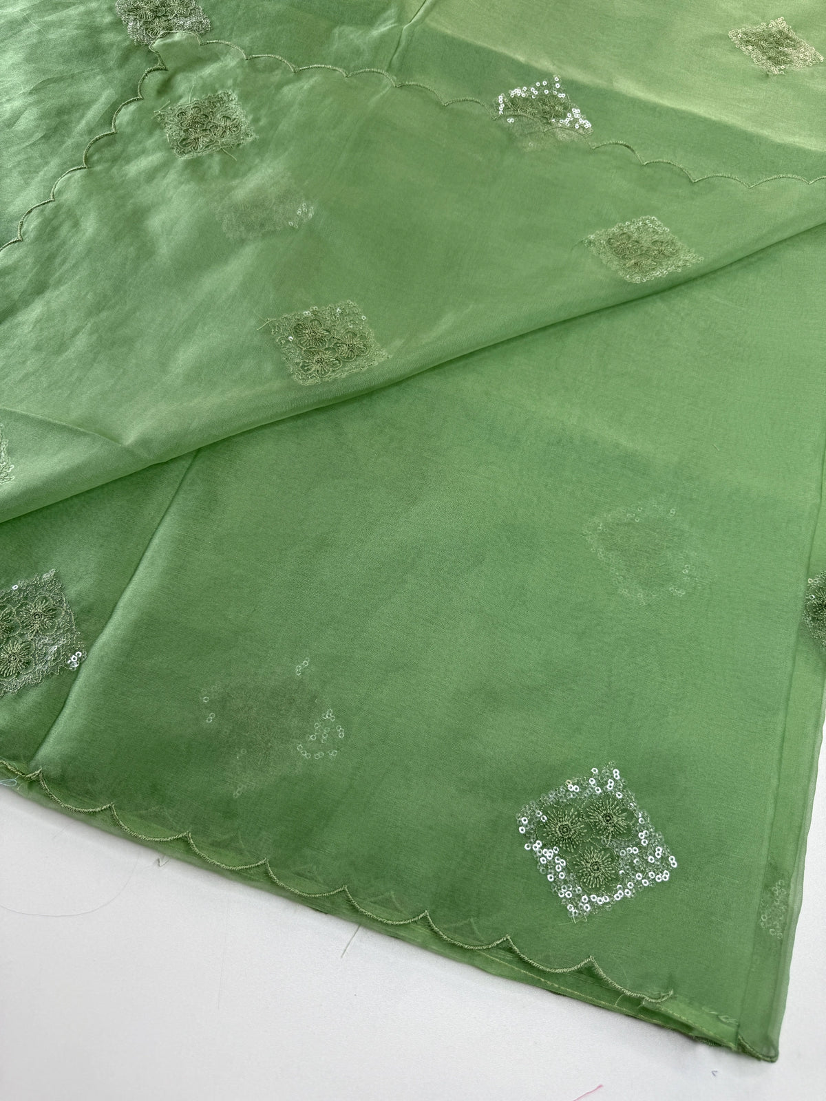 Soft Organza Saree/CW375
