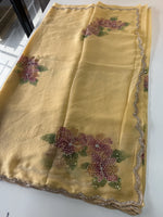 Chiffon saree/ HW409
