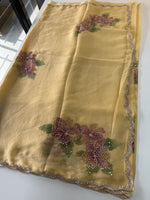 Chiffon saree/ HW409
