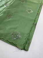 Soft Organza Saree/CW375