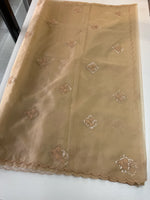 Soft Organza Saree/CW375