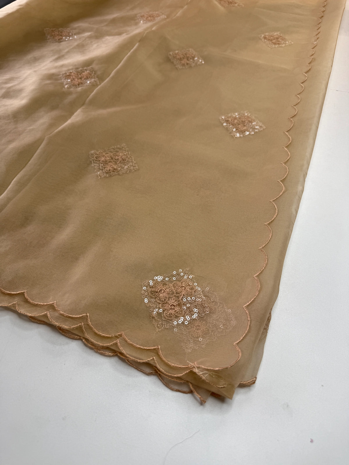 Soft Organza Saree/CW375