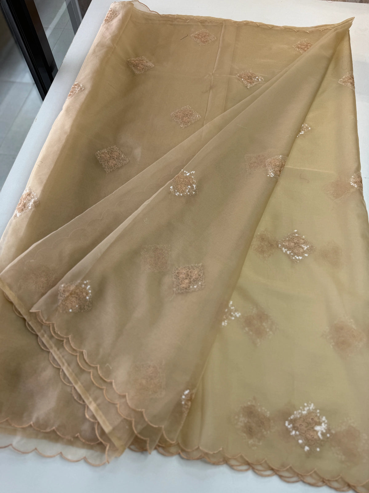 Soft Organza Saree/CW375