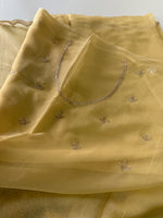 Chiffon saree/ HW409