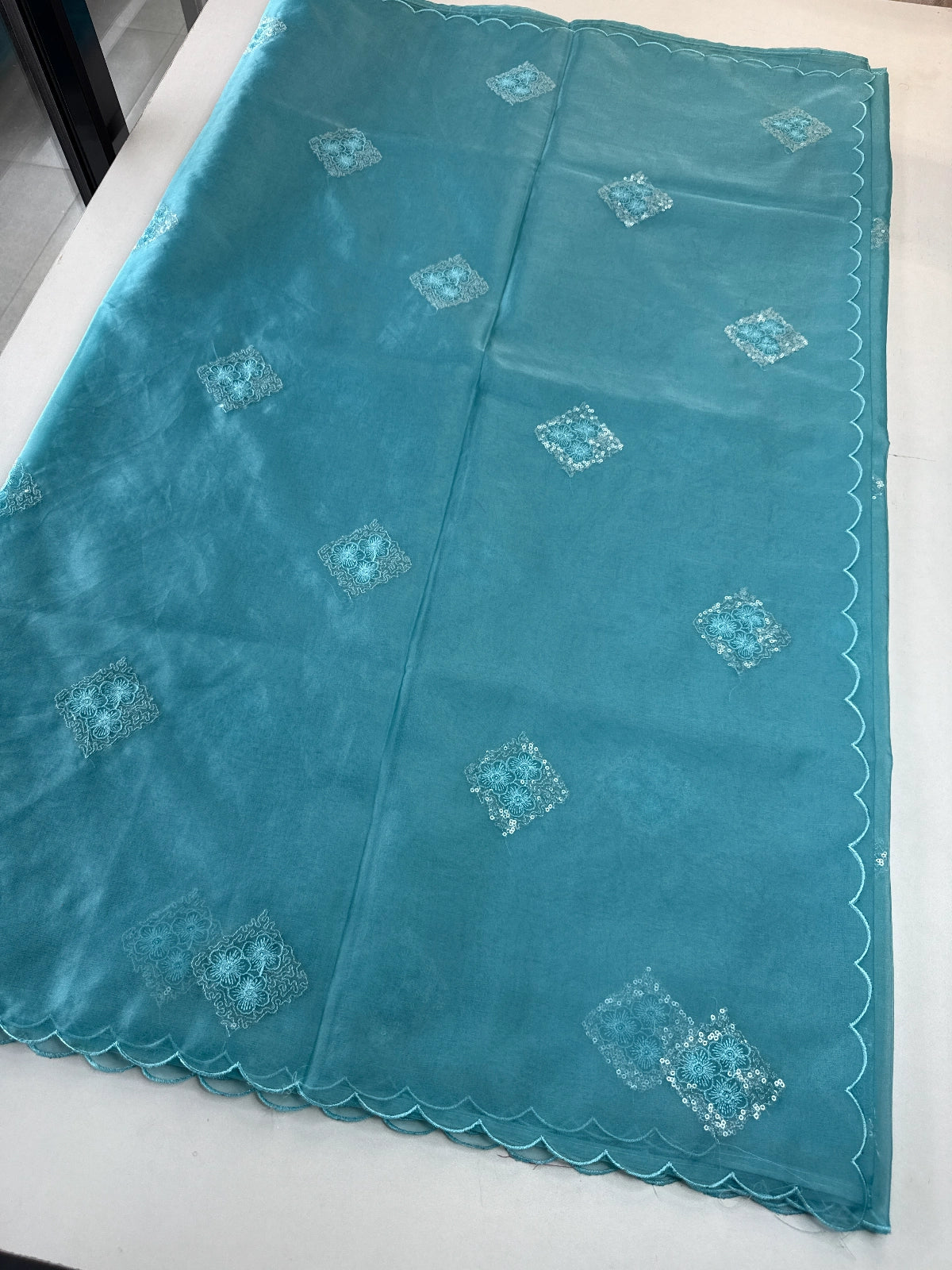 Soft Organza Saree/CW375