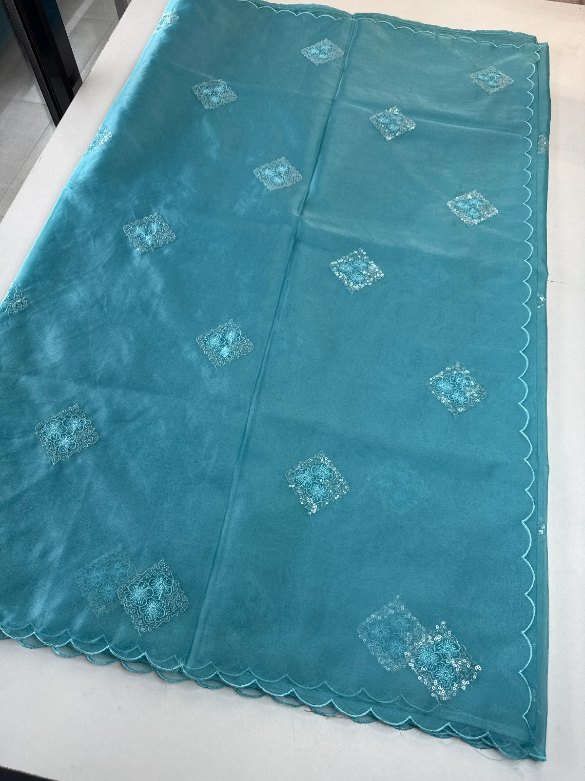 Soft Organza Saree/CW375