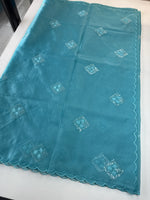 Soft Organza Saree/CW375