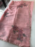 Chiffon saree/ HW409