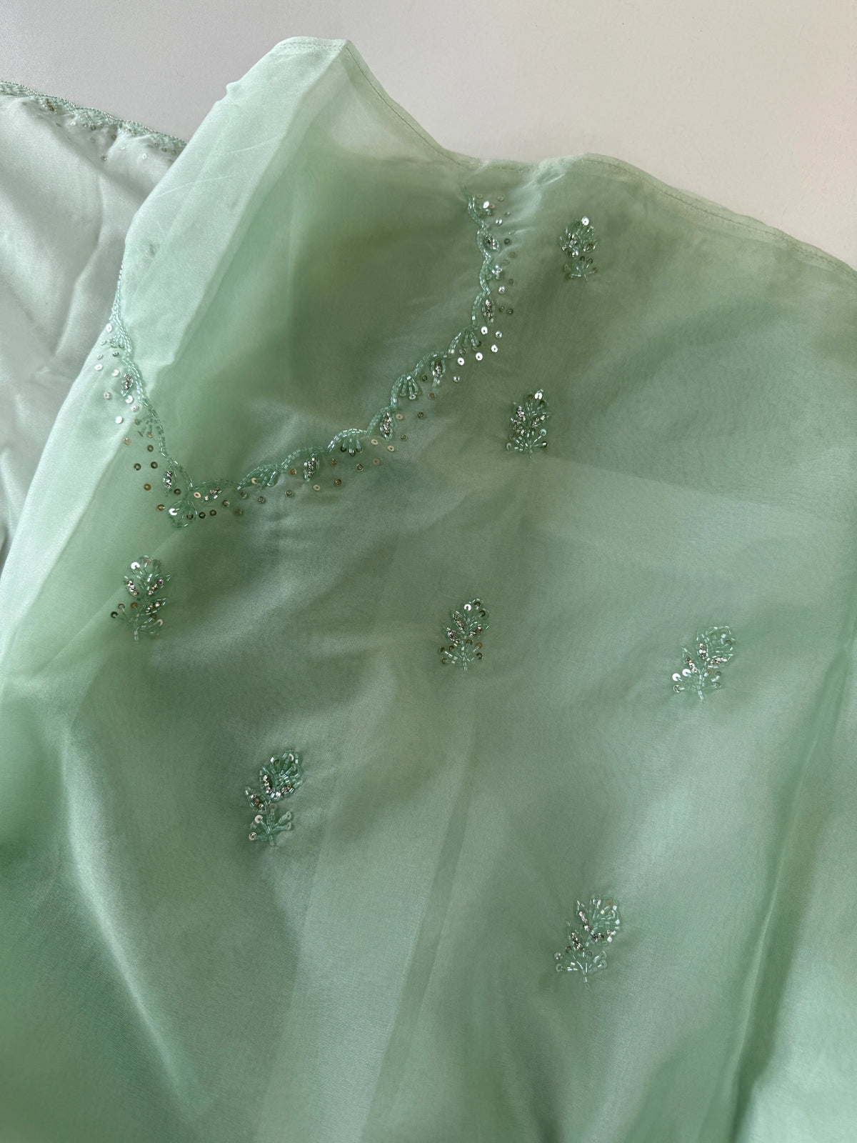 Soft Organza Saree/ HW467