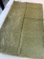 Glass Organza Saree/ CW033