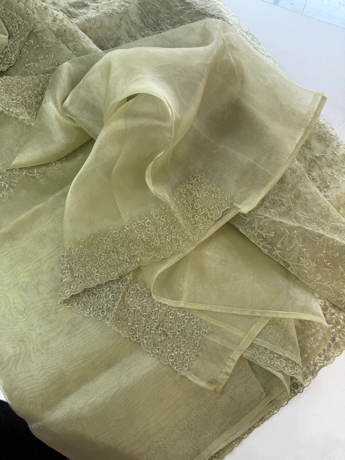 Glass Organza Saree/ CW033