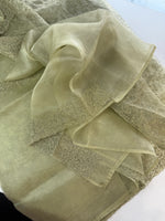 Glass Organza Saree/ CW033