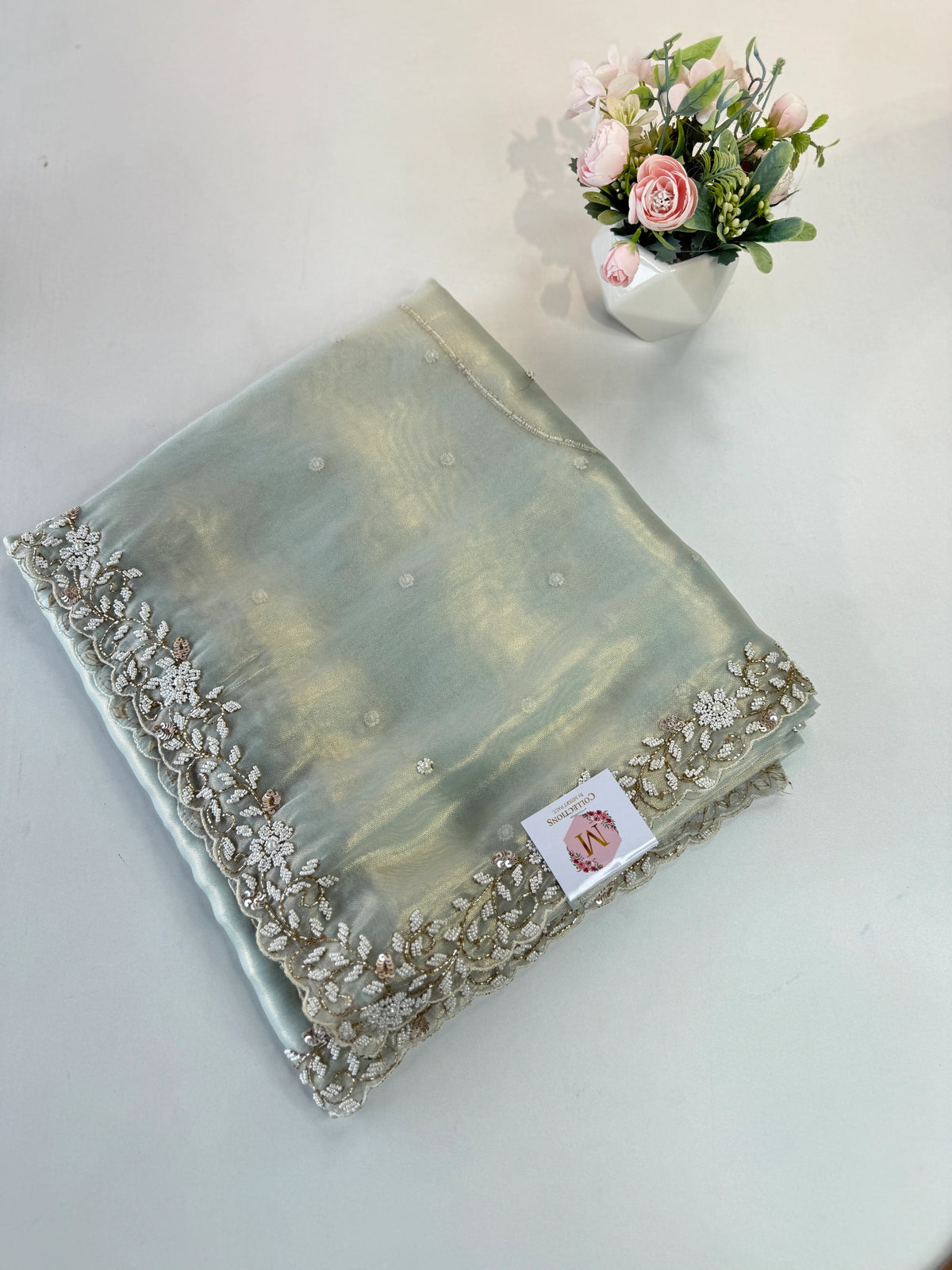 Tissue Organza Saree/ SA20