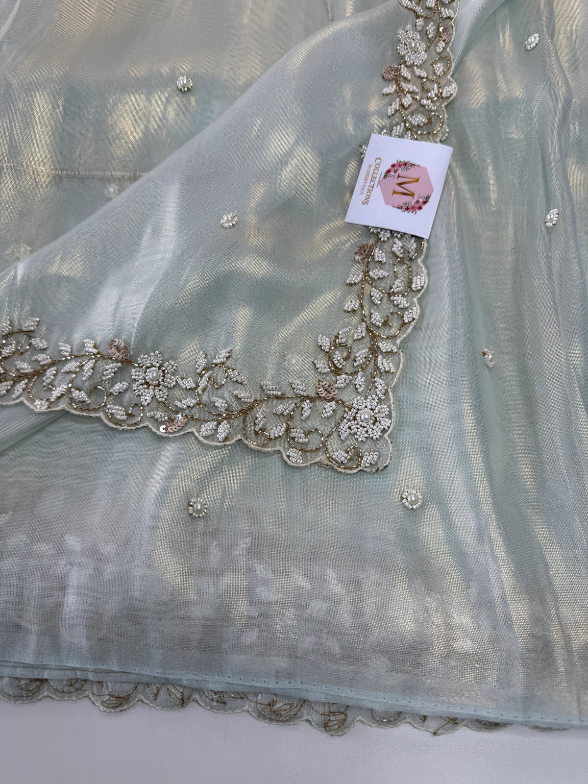 Tissue Organza Saree/ SA20