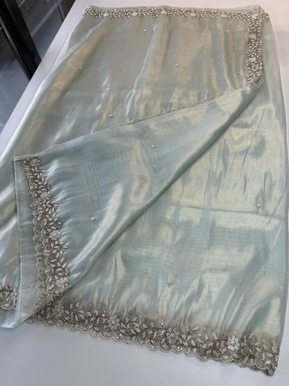 Tissue Organza Saree/ SA20