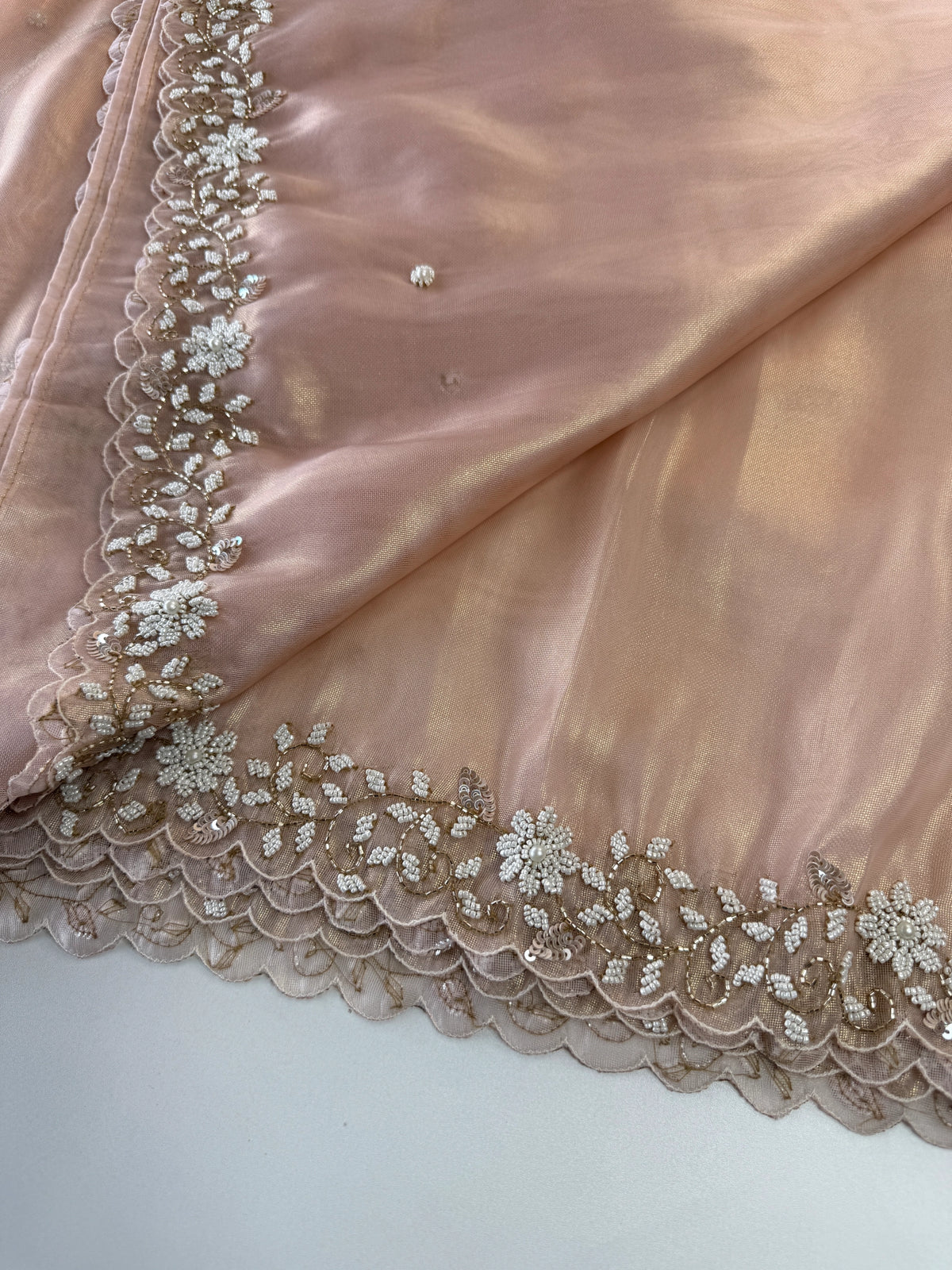 Tissue Organza Saree/ SA20