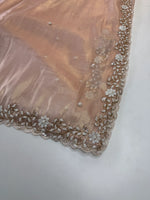 Tissue Organza Saree/ SA20