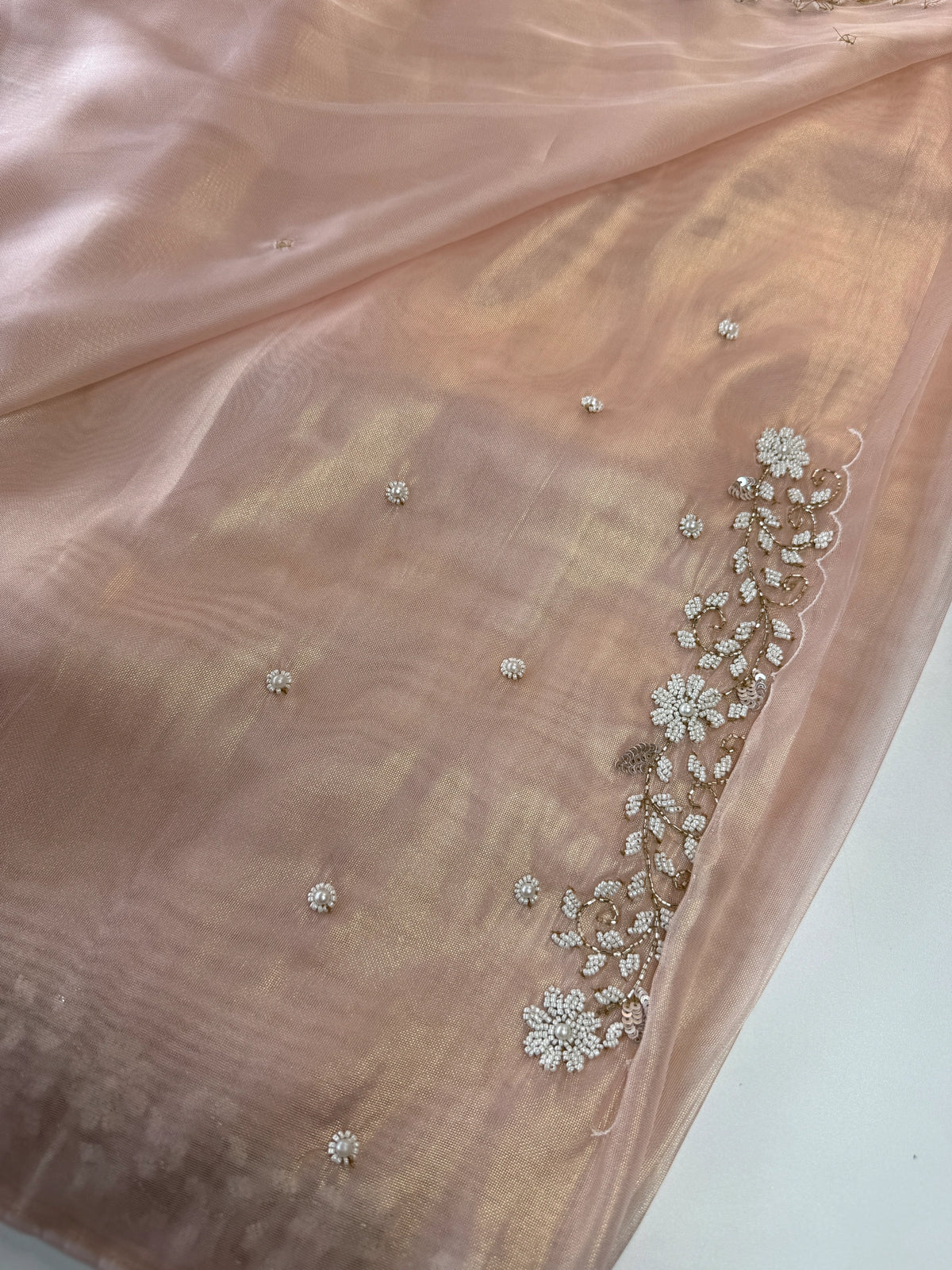 Tissue Organza Saree/ SA20