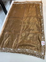 Tissue Organza Saree/ SA20