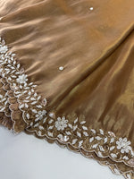 Tissue Organza Saree/ SA20