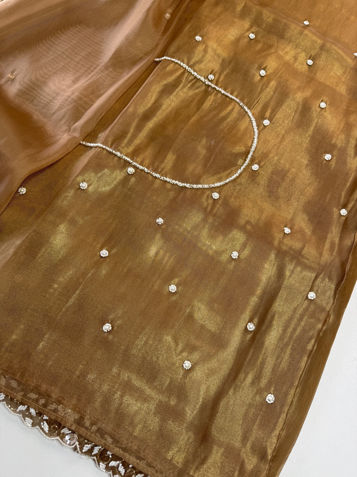 Tissue Organza Saree/ SA20