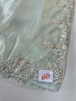 Tissue Organza Saree/ SA001