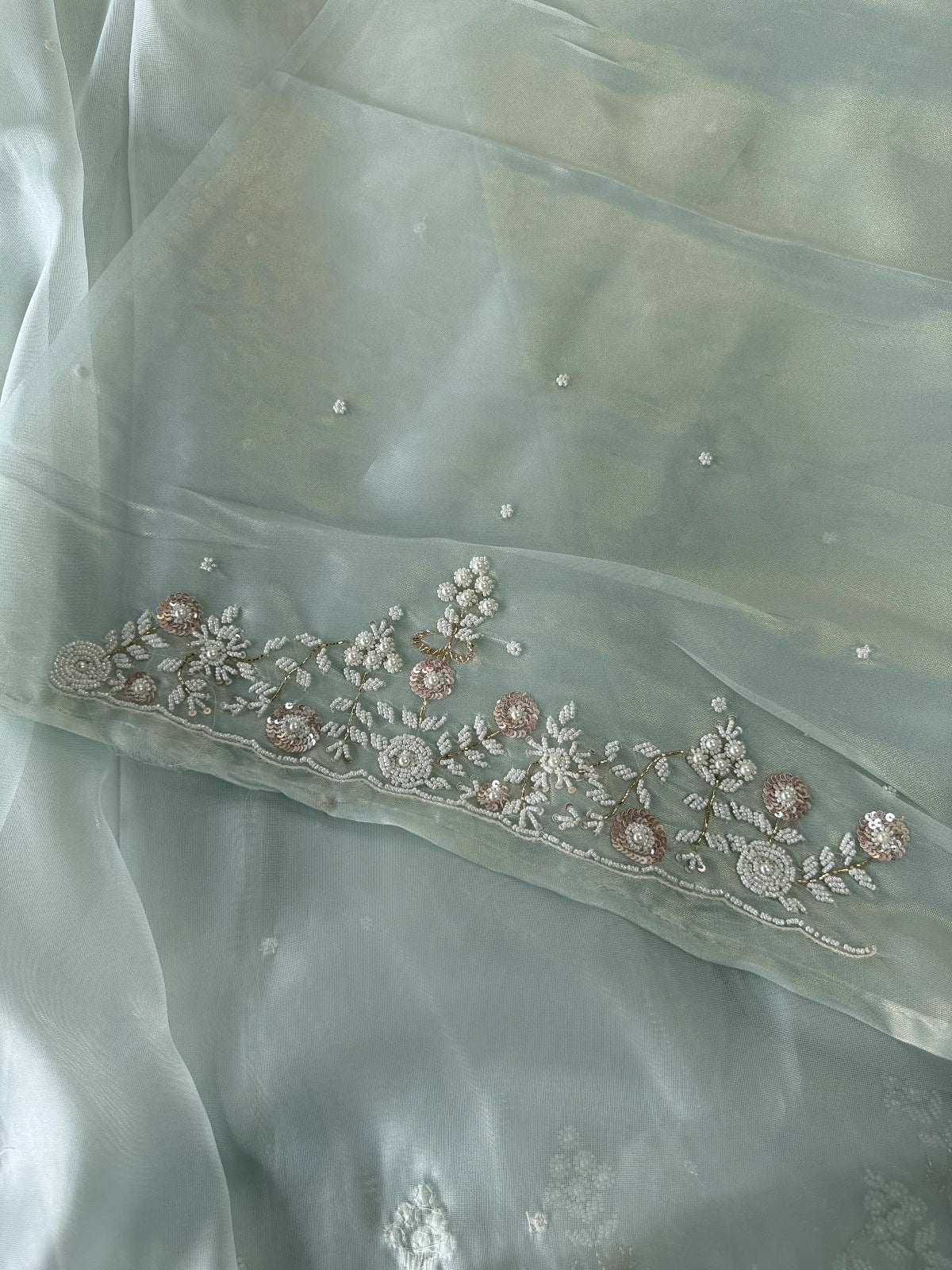 Tissue Organza Saree/ SA001