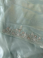 Tissue Organza Saree/ SA001