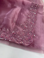 Glass Organza Saree/ SP96