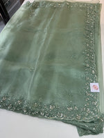 Glass Organza Saree/ SP96