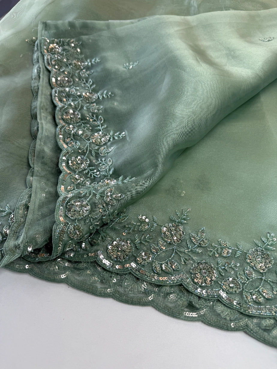 Glass Organza Saree/ SP96