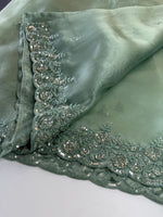 Glass Organza Saree/ SP96
