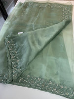 Glass Organza Saree/ SP96