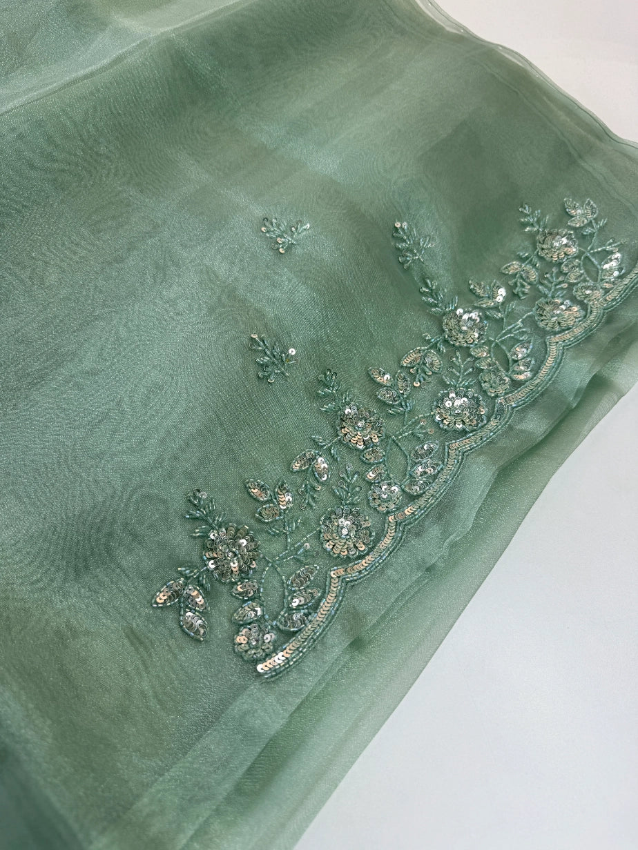 Glass Organza Saree/ SP96