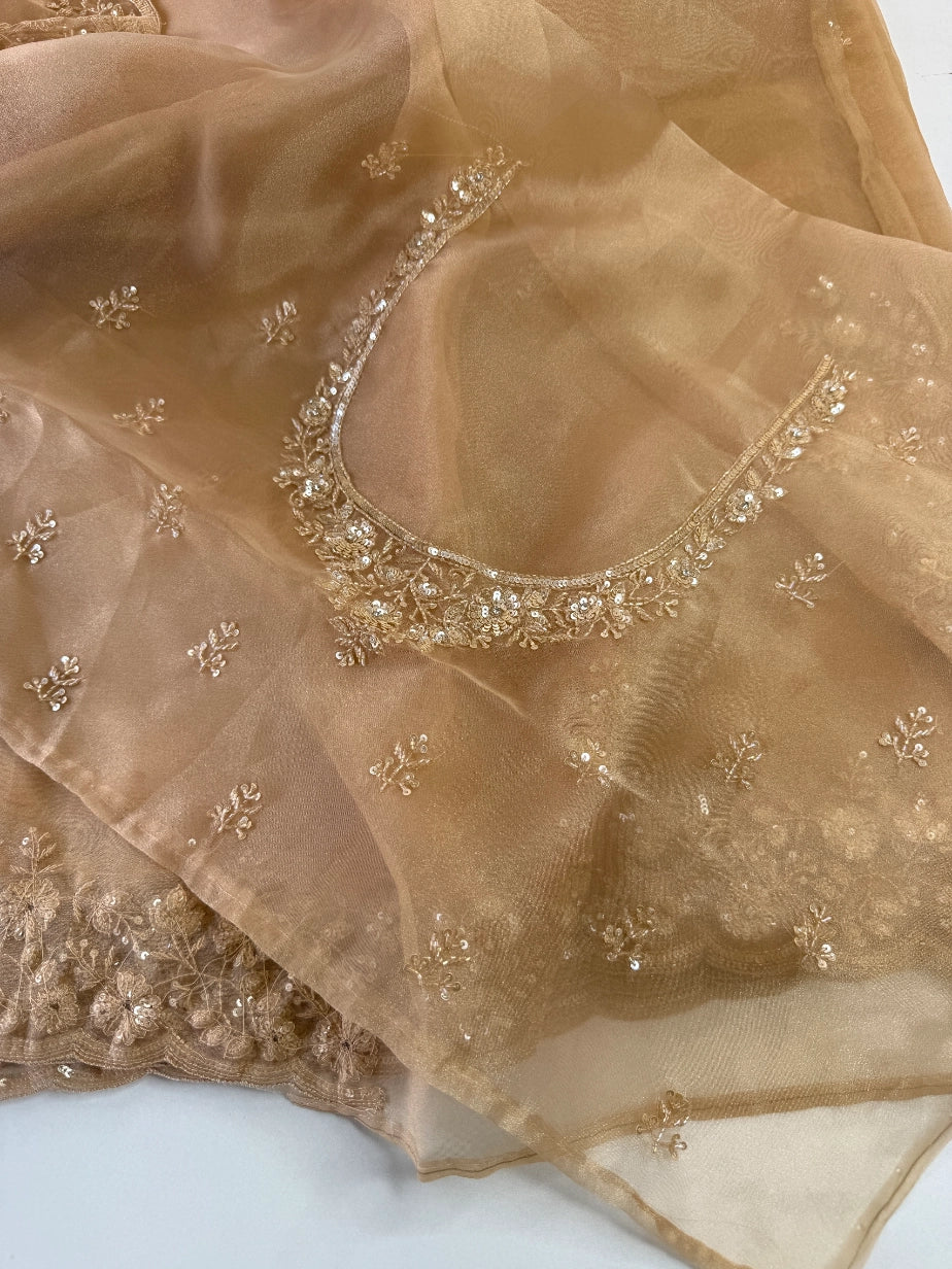 Glass Organza Saree/ SP96
